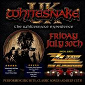ZZ Top by The Eliminators